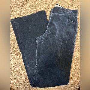 Theory Velvet Dress Pants